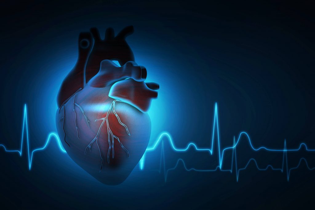 Cardiac Wellness: Foods for a Healthy Heart