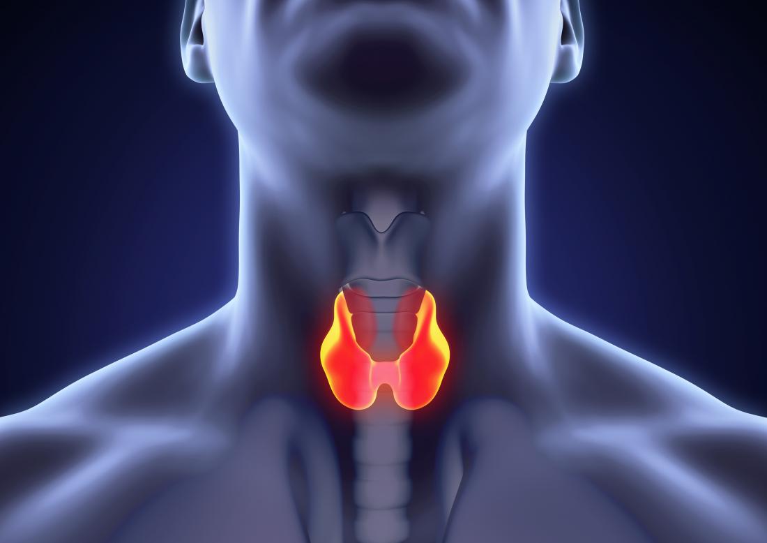 Read more about the article Thyroid Cancer Recognizing Signs in Simple Terms